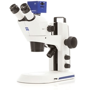 体视显微镜图片